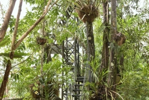 Nocleg w Treehouse Resort z zajęciami