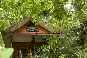 Nocleg w Treehouse Resort z zajęciami