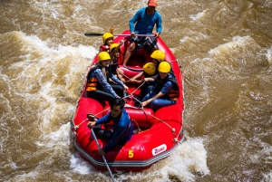 Pa Tong: Rainforest Day Trip with Cave, Rafting, ATV & Lunch