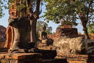 Von Pattaya aus: Private Tagestour nach Ayutthaya mit Bootstour