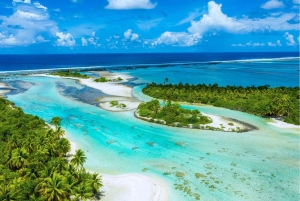 Pattaya: Coral Island Tour + Lunch + All Water Sport + Video