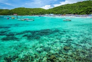 Pattaya: Viagem de 1 dia à ilha de Koh Larn com almoço e actividades