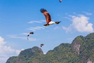 팡야만과 제임스 본드 섬 보트 투어