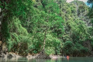 Jednodniowa wycieczka po zatoce Phang Nga i spływ kajakowy dużą łodzią (niezatłoczony)