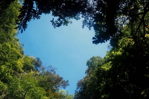 Excursión de un día a la bahía de Phang Nga y piragüismo en barco grande (no abarrotado)