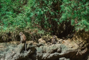 Excursión de un día a la bahía de Phang Nga y piragüismo en barco grande (no abarrotado)