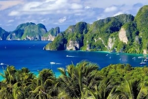 Phi Phi and Bamboo Islands Speedboat Tour with Fins