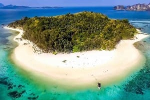 Phi Phi and Bamboo Islands Speedboat Tour with Fins