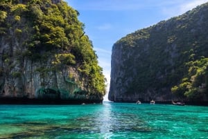 Phi Phi and Bamboo Islands Speedboat Tour with Fins