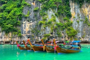 Phi Phi and Bamboo Islands Speedboat Tour with Fins