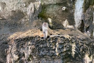 Пхи-Пхи: острова Пхи-Пхи на целый день и тур на закате на скоростном катере