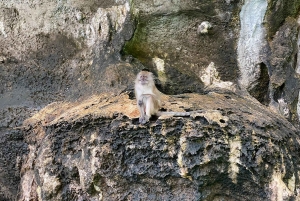 피피: 스피드보트로 즐기는 피피섬 전일 투어 & 선셋 투어