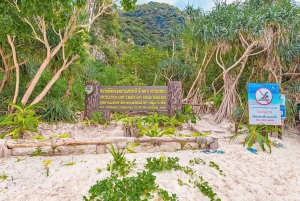 'Phi Phi Island Bliss: A Tropical Adventure'