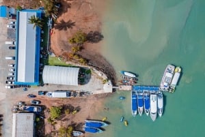 Phi Phi Island: Avventura di una giornata intera in motoscafo o catamarano