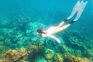 Phuket: Phi Phi Island Premium kryssning med måltid