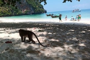 Phi Phi Island Übernachtungspaket 2 Tage, 1 Nacht und Aktivitäten