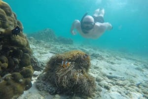 Phi Phi Island Übernachtungspaket 2 Tage, 1 Nacht und Aktivitäten