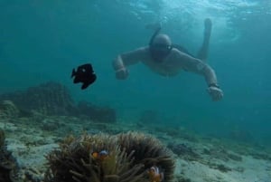 Phi Phi Island Übernachtungspaket 2 Tage, 1 Nacht und Aktivitäten