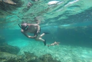 피피섬: 액티비티가 포함된 1박 2일 당일 여행