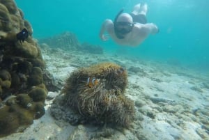 피피섬: 액티비티가 포함된 1박 2일 당일 여행