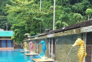 피피섬: 액티비티가 포함된 1박 2일 당일 여행