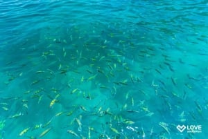 피피섬: 액티비티가 포함된 1박 2일 당일 여행