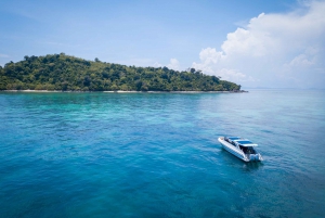 Phi Phi Islands: Private Full-Day Speedboat Tour From Phuket
