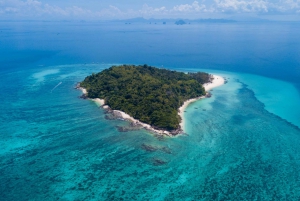 Phi Phi Islands: Private Full-Day Speedboat Tour From Phuket