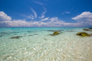 Phi Phi Islands: Private Full-Day Speedboat Tour From Phuket