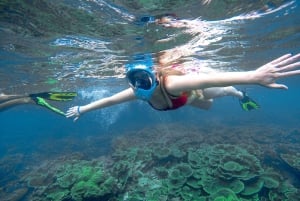 Phuket: 10:00 tur till Phi Phi & Bamboo Island med speedboat