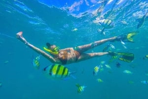 Phuket: 10:00 tur till Phi Phi & Bamboo Island med speedboat