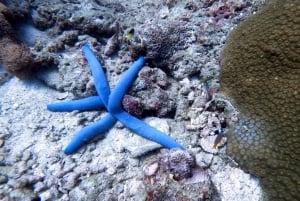 Phuket: 2 Coral Reef Dives with Lunch at The G Beach Club