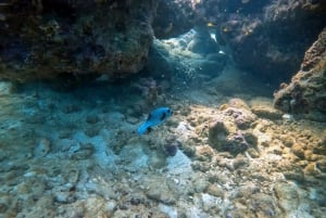 Phuket: 2 Coral Reef Dives with Lunch at The G Beach Club