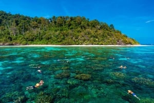 Phuket: 2 Days 1 Night to Lanta, Kradan, Rok and Haa Island.