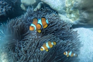 푸켓 : 2 일 여정 섬 독점 일일 투어