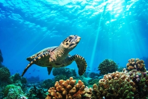 푸켓: 2일 일정 시밀란 & 제임스 본드 제도 투어