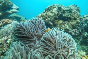 푸켓: 2일 일정 시밀란 & 제임스 본드 제도 투어