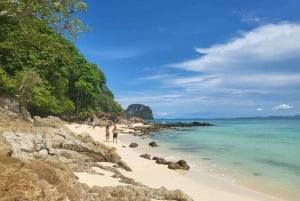 Phuket: 2 Days Itinerary Similan & Phi Phi Islands Day Tour