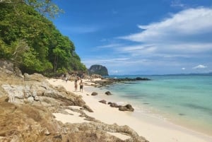 푸켓: 2일 일정 시밀란 & 피피섬 일일 투어