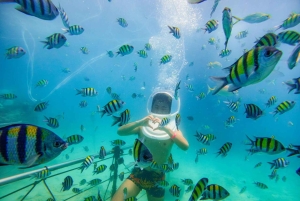 Phuket : 2 îles, Coral et Racha, en hors-bord avec déjeuner buffet