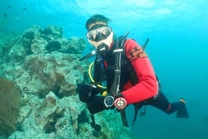 プーケット3ダイブ ピピ島/シャークポイント スクーバダイビング デイトリップ