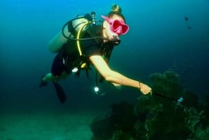 プーケット3ダイブ ピピ島/シャークポイント スクーバダイビング デイトリップ