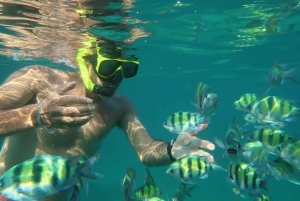 Phuket: 3 Khai-saaret - snorklaus ja rentoutuminen (puoli päivää/koko päivä)