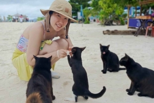 Phuket: 3 Khai-saaret - snorklaus ja rentoutuminen (puoli päivää/koko päivä)