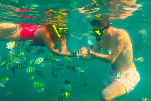 Phuket: 3 Khai-saaret - snorklaus ja rentoutuminen (puoli päivää/koko päivä)