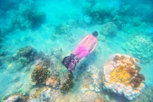 Phuket: 3 Khai-saaret - snorklaus ja rentoutuminen (puoli päivää/koko päivä)