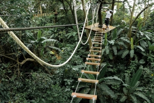 Phuket: 4 elementers dag med Zipline Adventure Expedition
