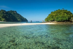 Phuket: prywatna wycieczka łodzią motorową na 4 wyspy