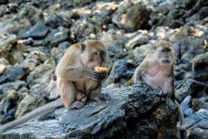 Phuket: 4 öar Krabi äventyr & snorkling dagstur