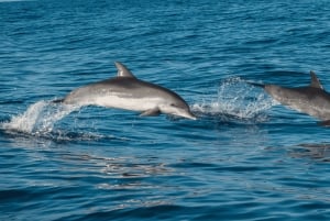 Phuket: 5 wysp – luksusowy katamaran o zachodzie słońca